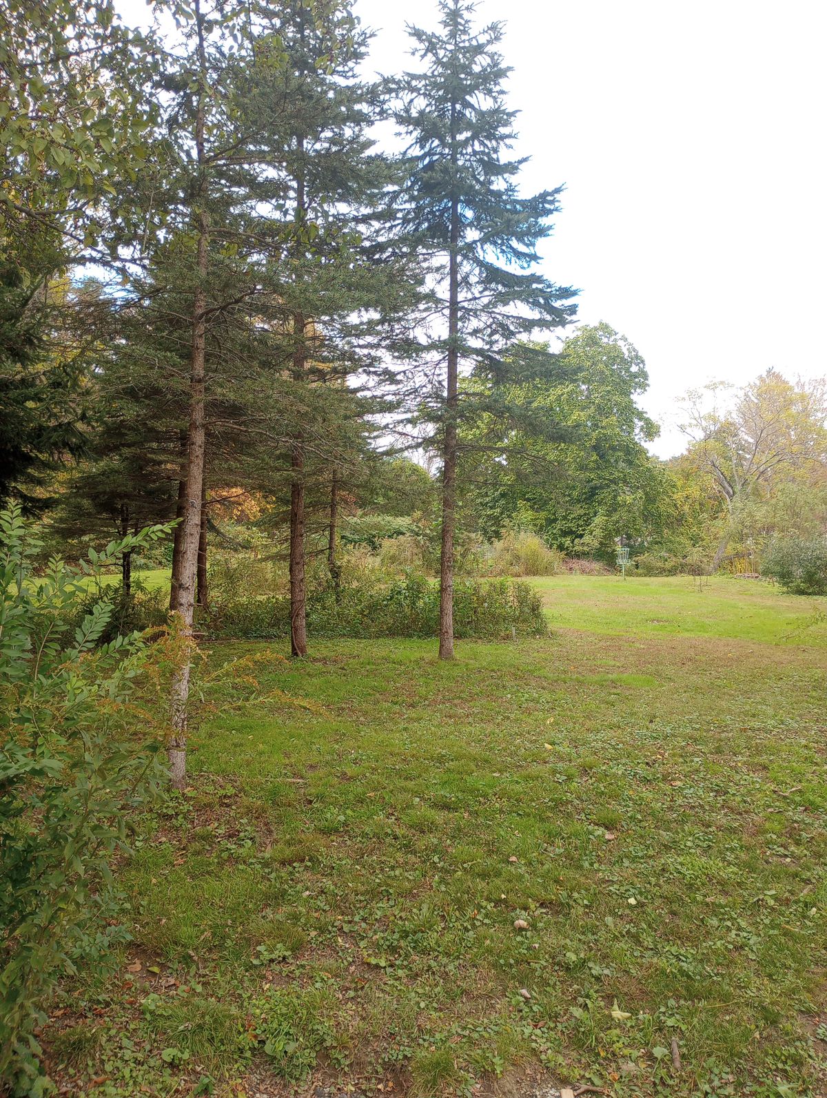 Tee Early Fall