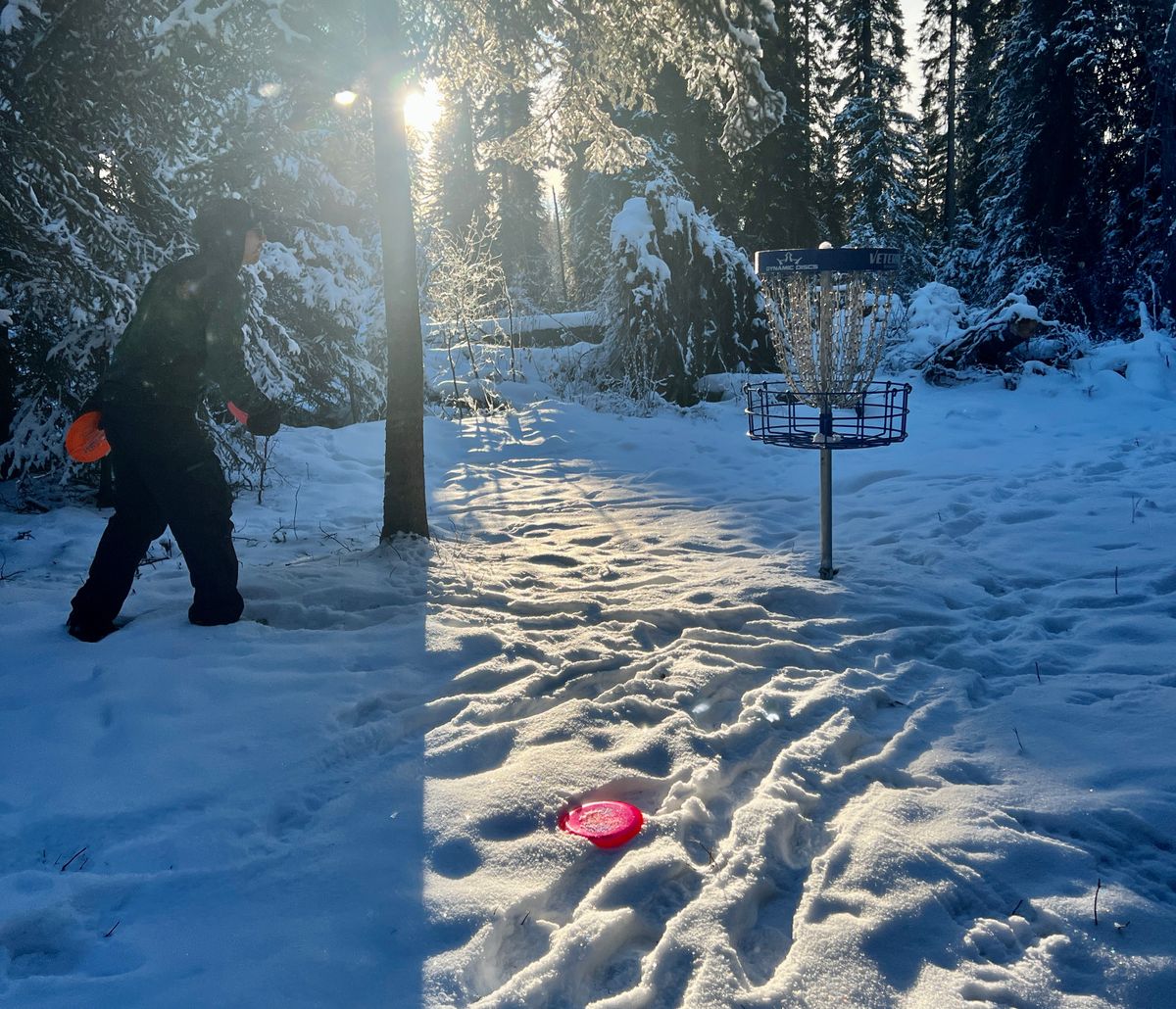 Sunny winter day