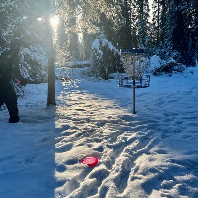 Sunny winter day
