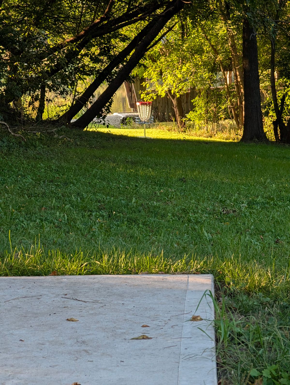 Tee Pad #8 to the basket