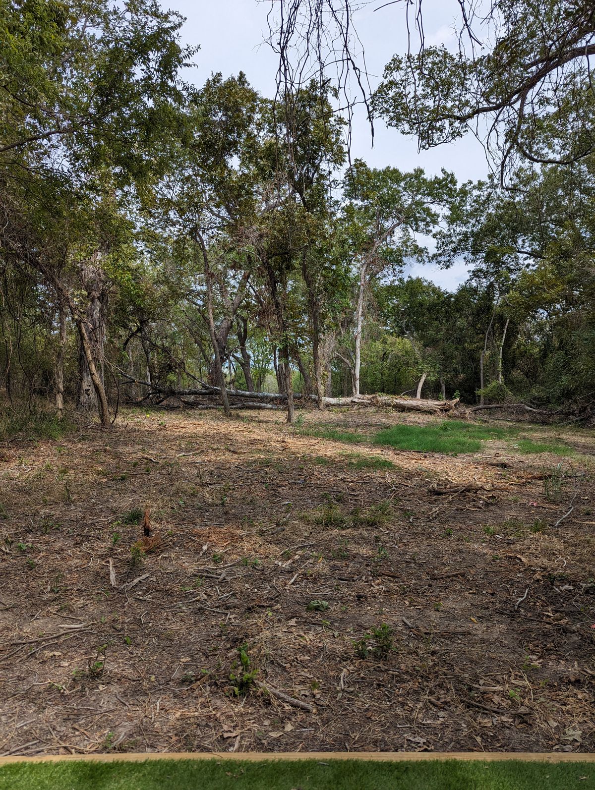 Hole 14 Tee