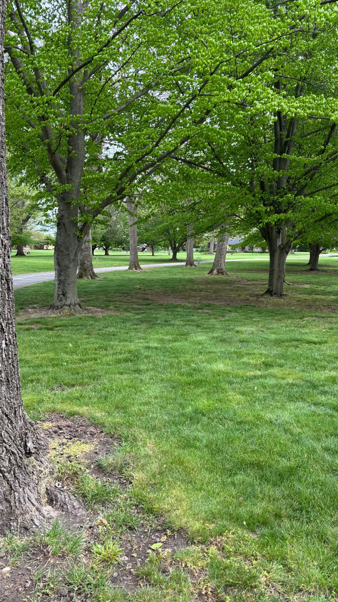 Hole 1