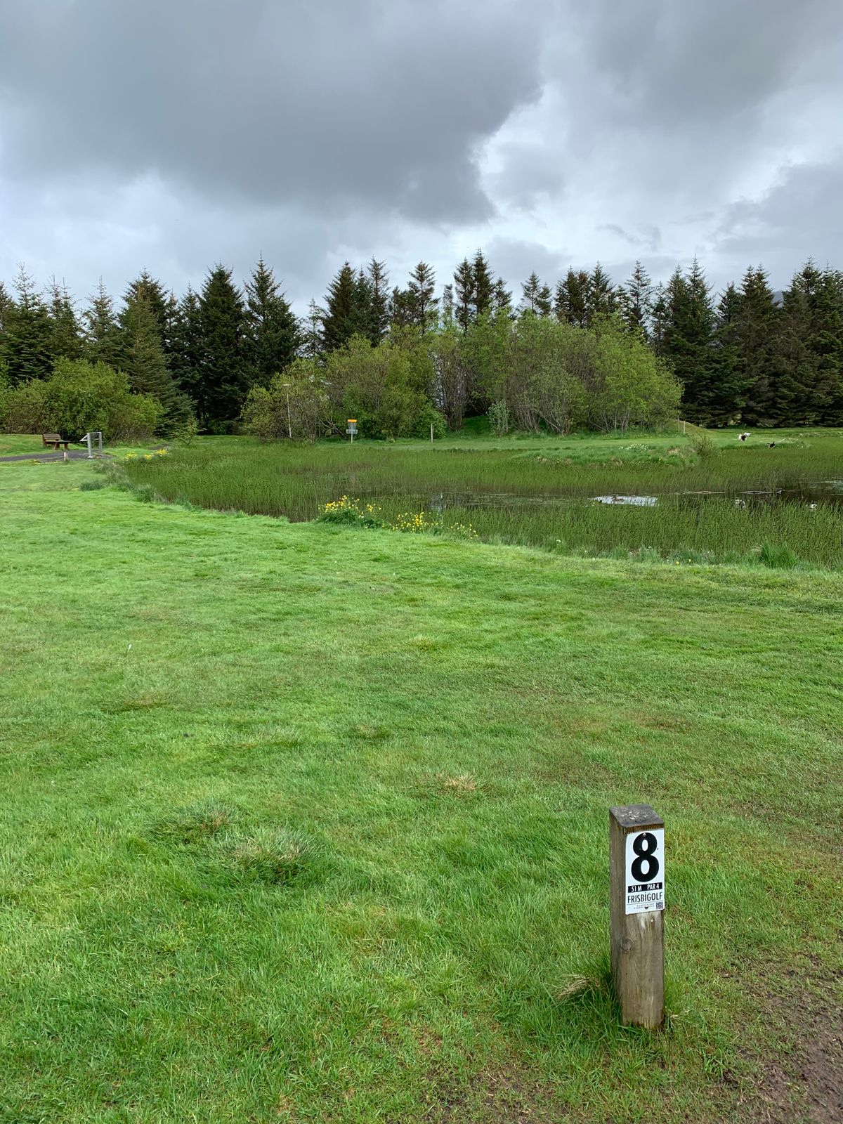 8th hole