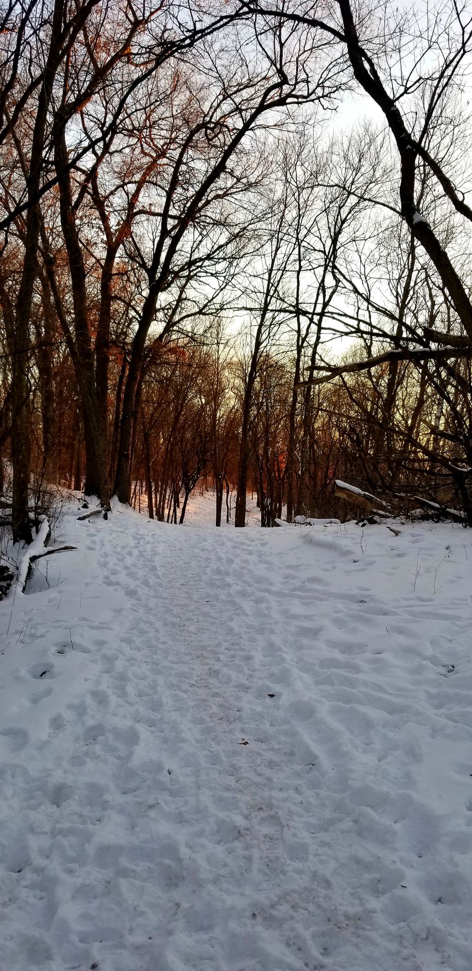 Hole 16