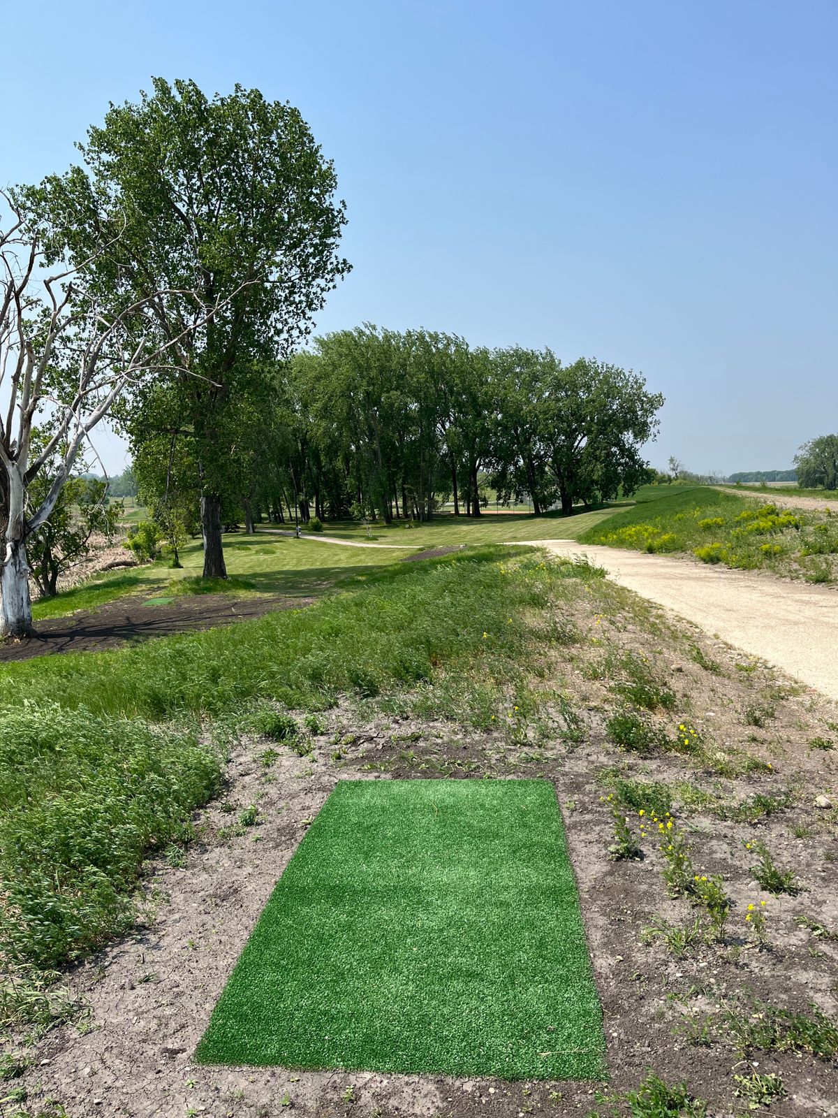 Hole 4 white tee