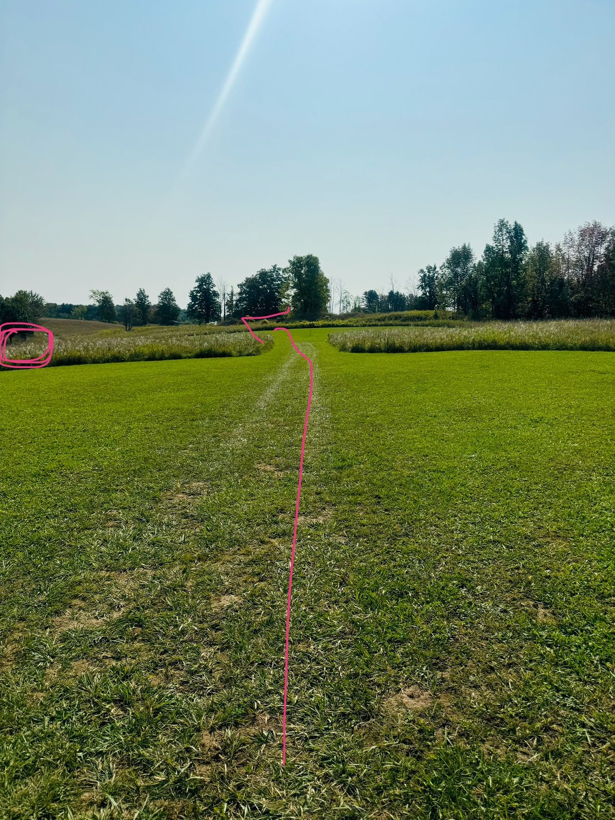 Hole 7 from the tee - lots of long grass to lose a disc in