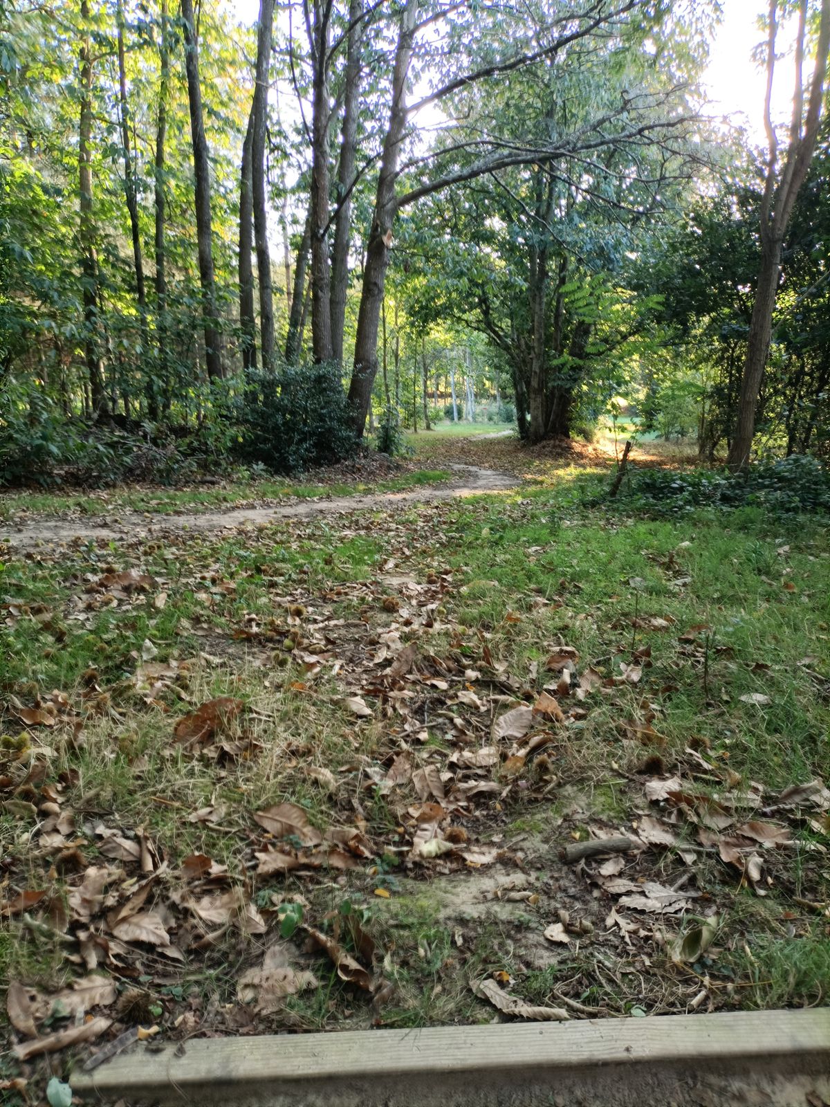 Hole 5