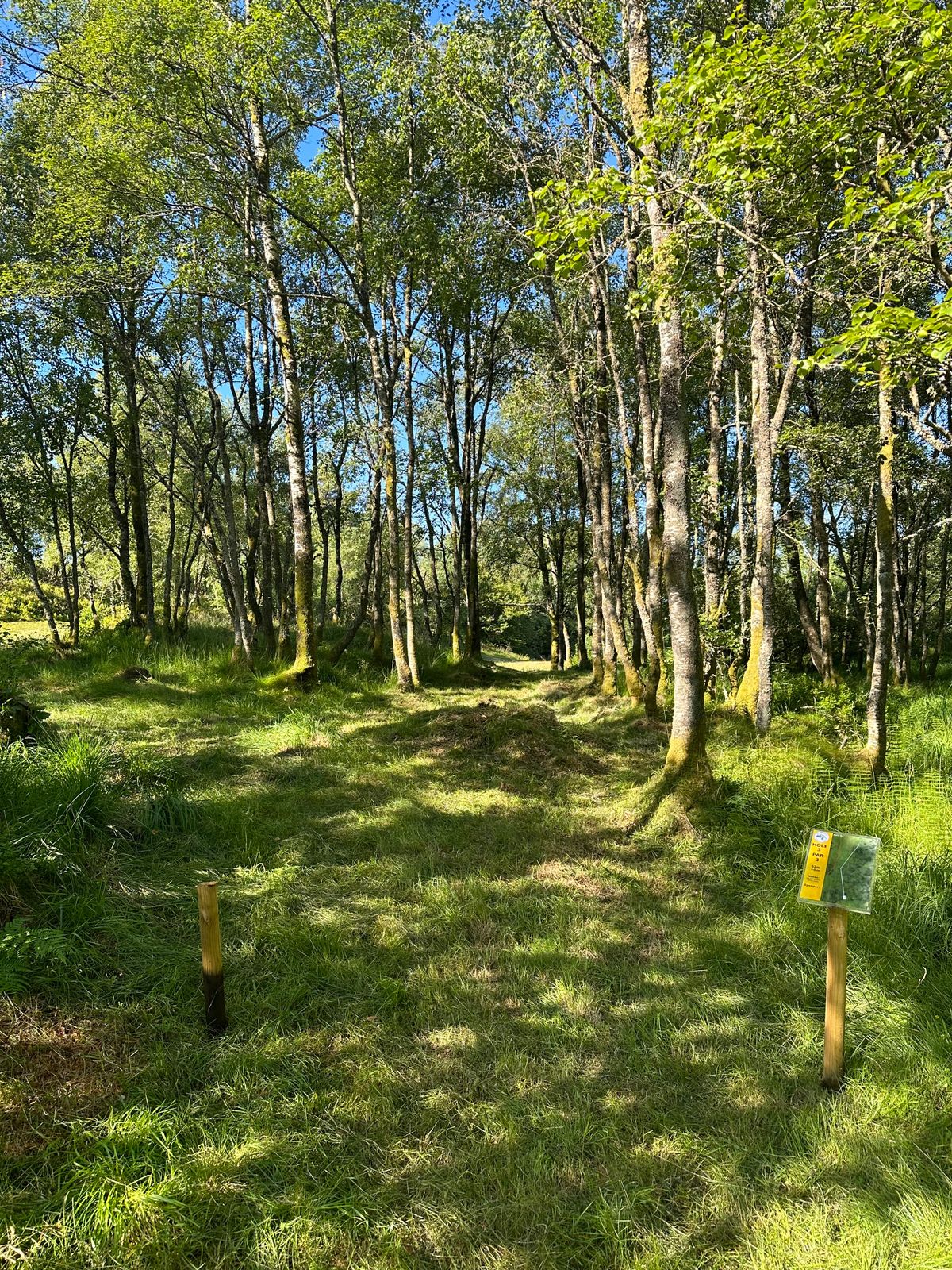 Tee Hole 3