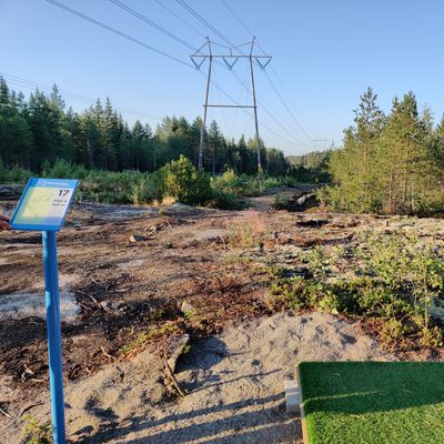 Hole 17
