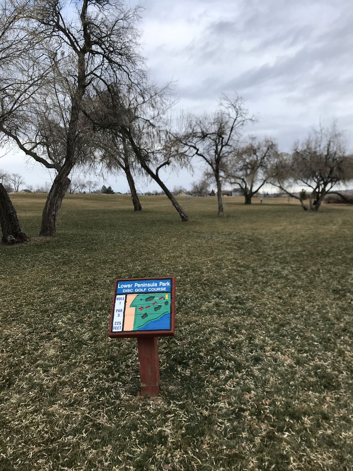 Hole 1, basket to right of leaning tree