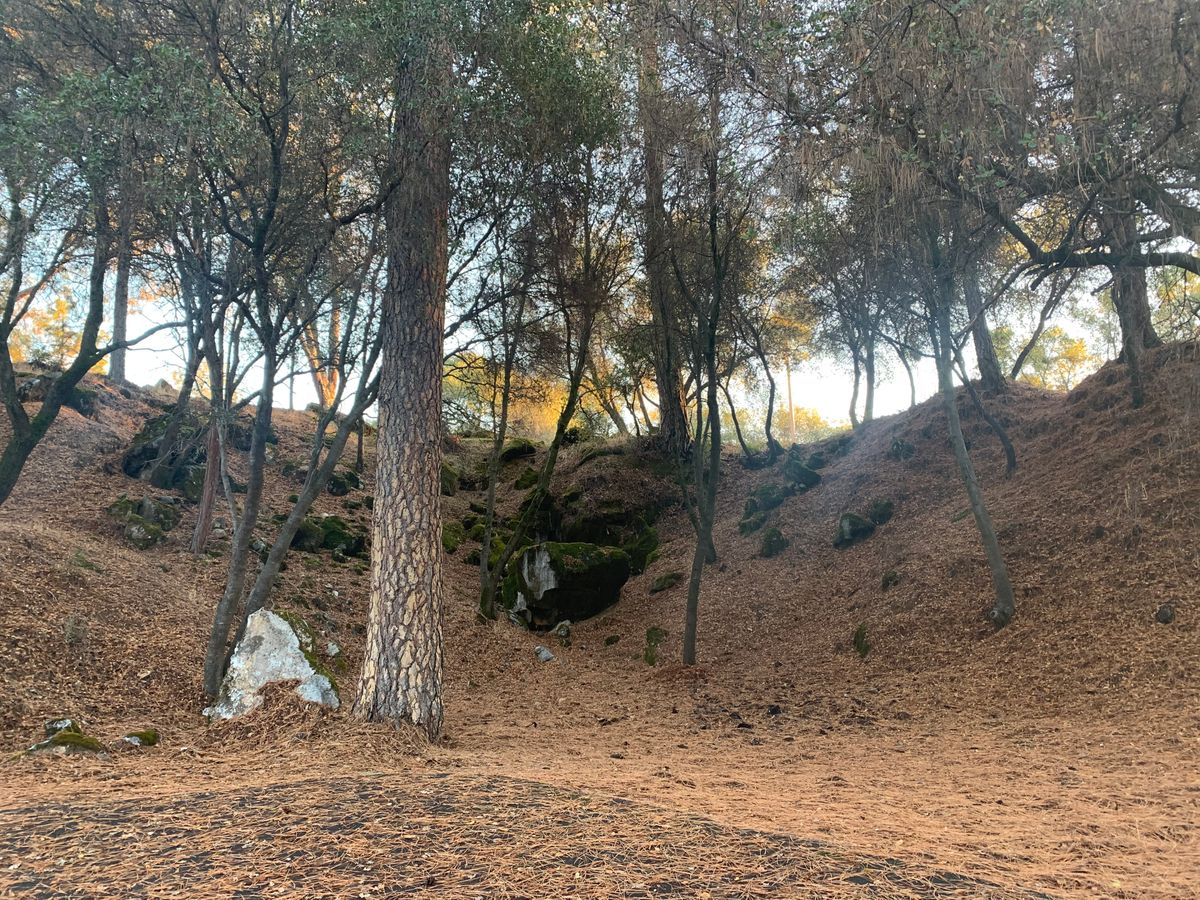 Hole 6 Basket is hidden behind the rock