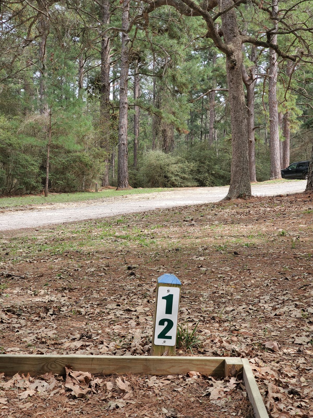 Hole 12 blue tee