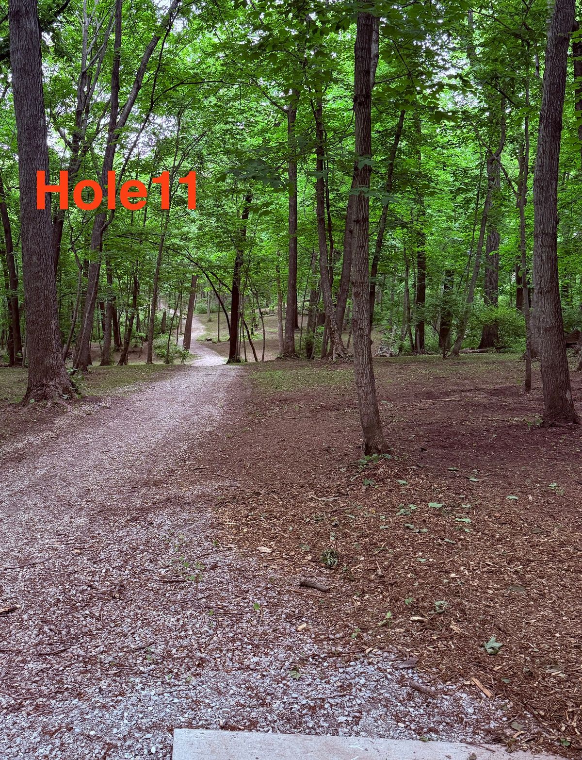 Hole 11