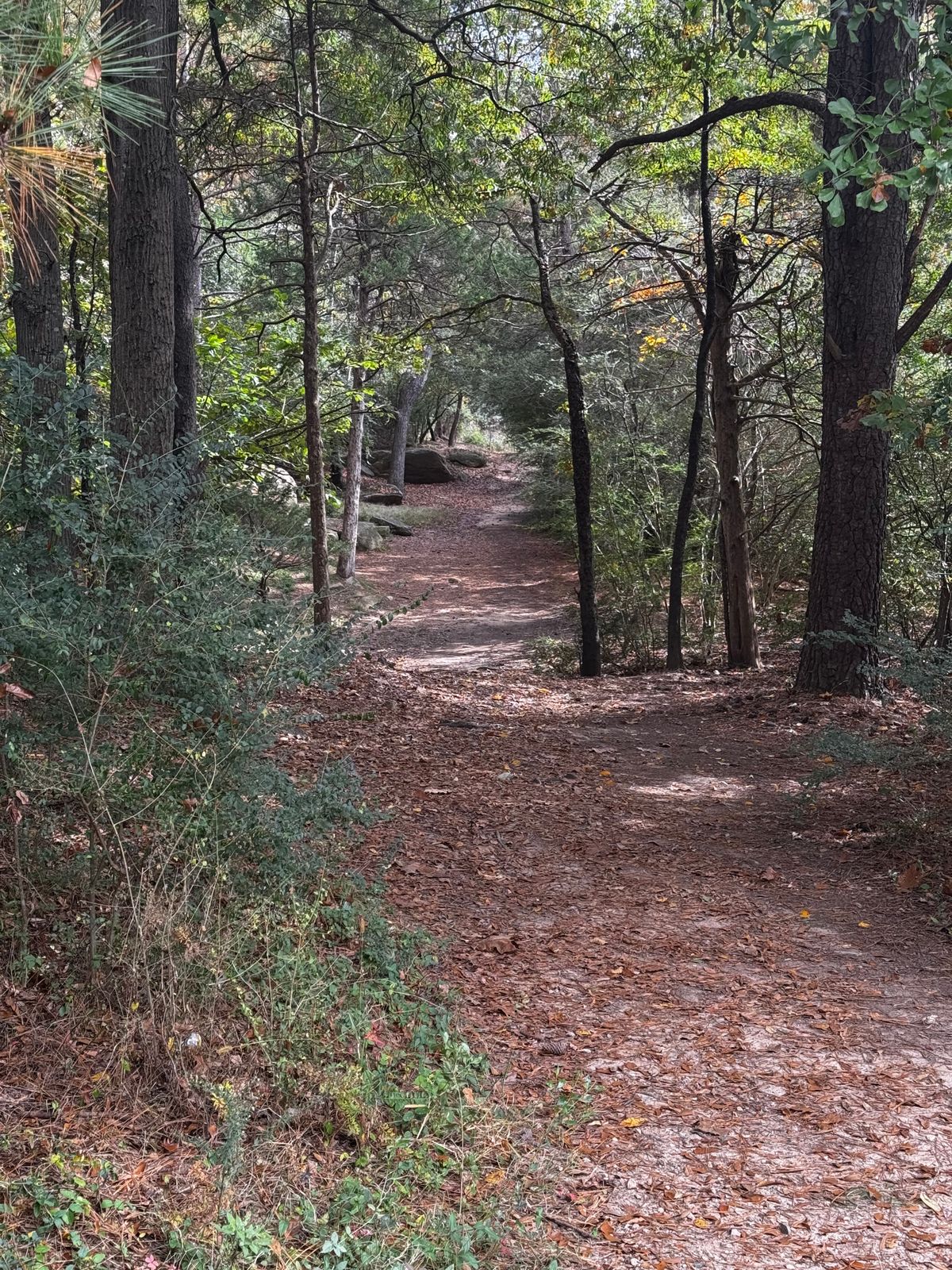 Hole 2