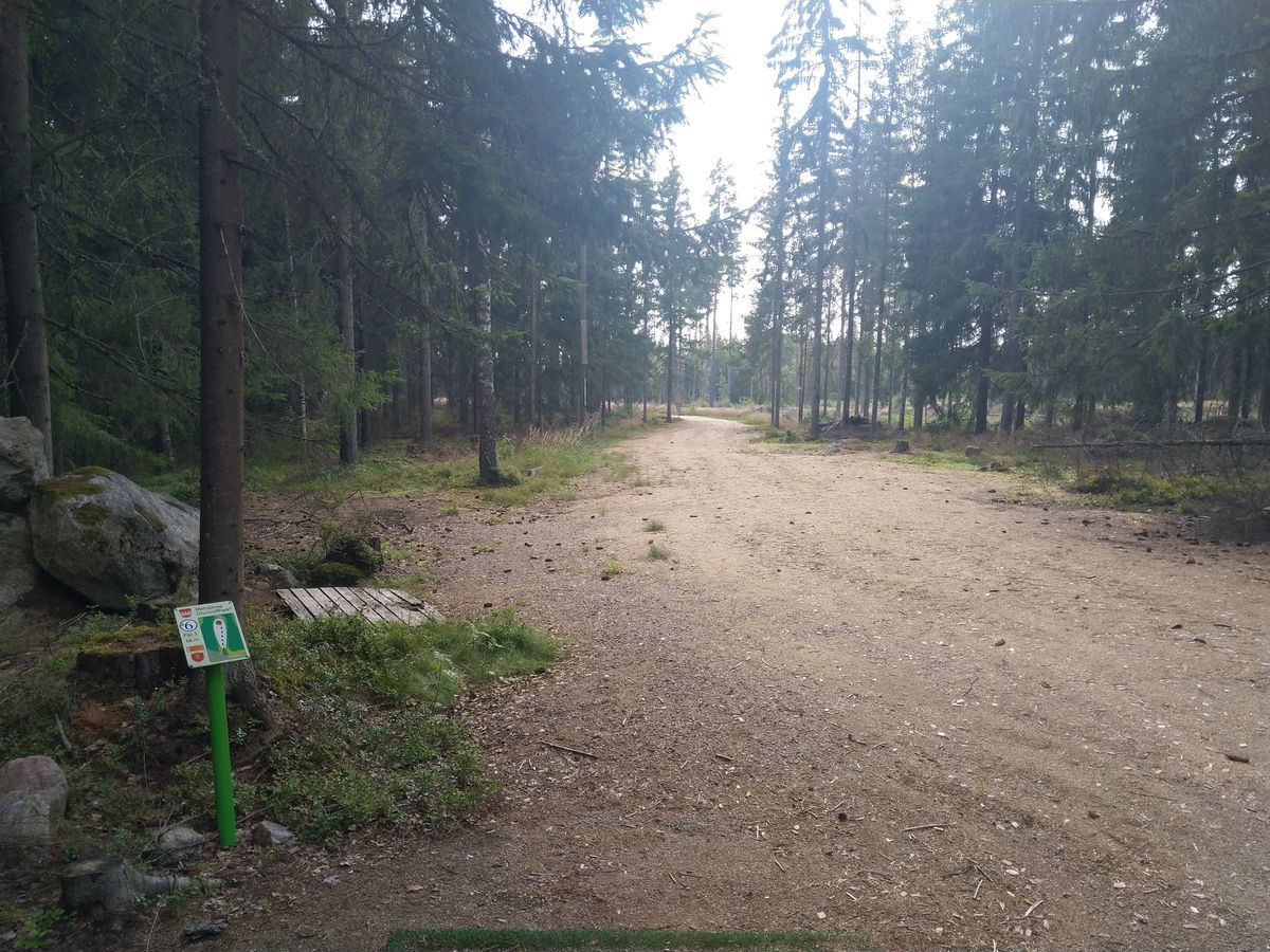 Väylä 6