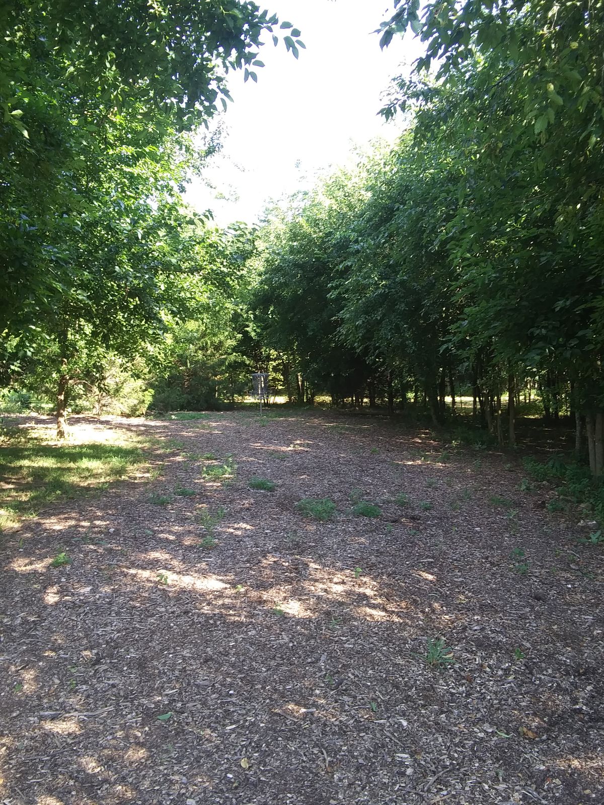 Hole 9