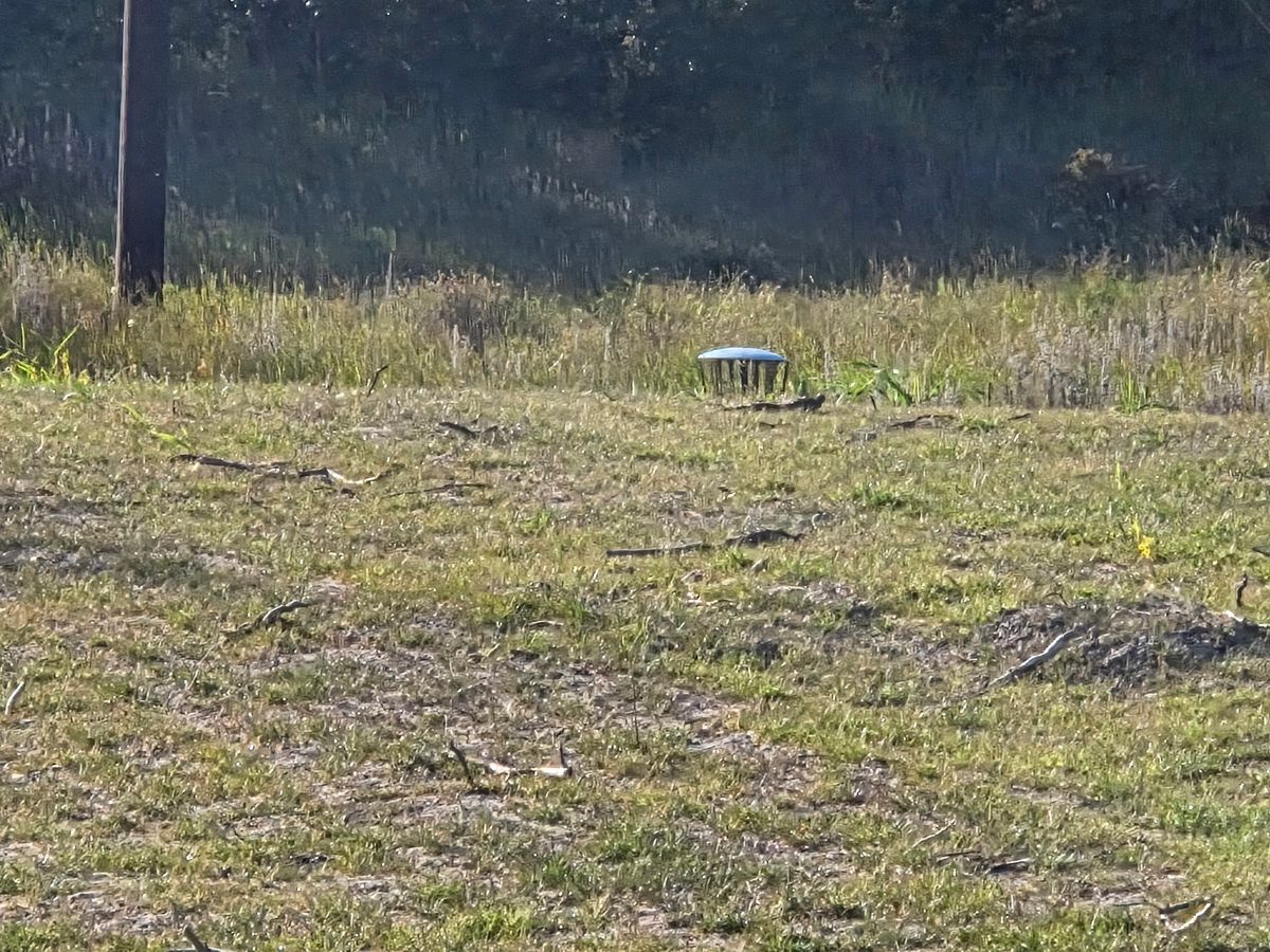 Hole 2