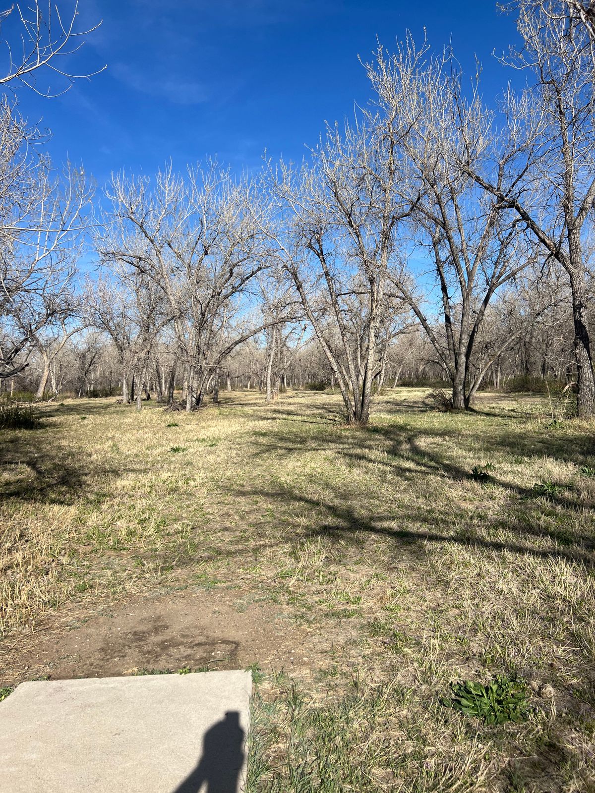 Hole 24