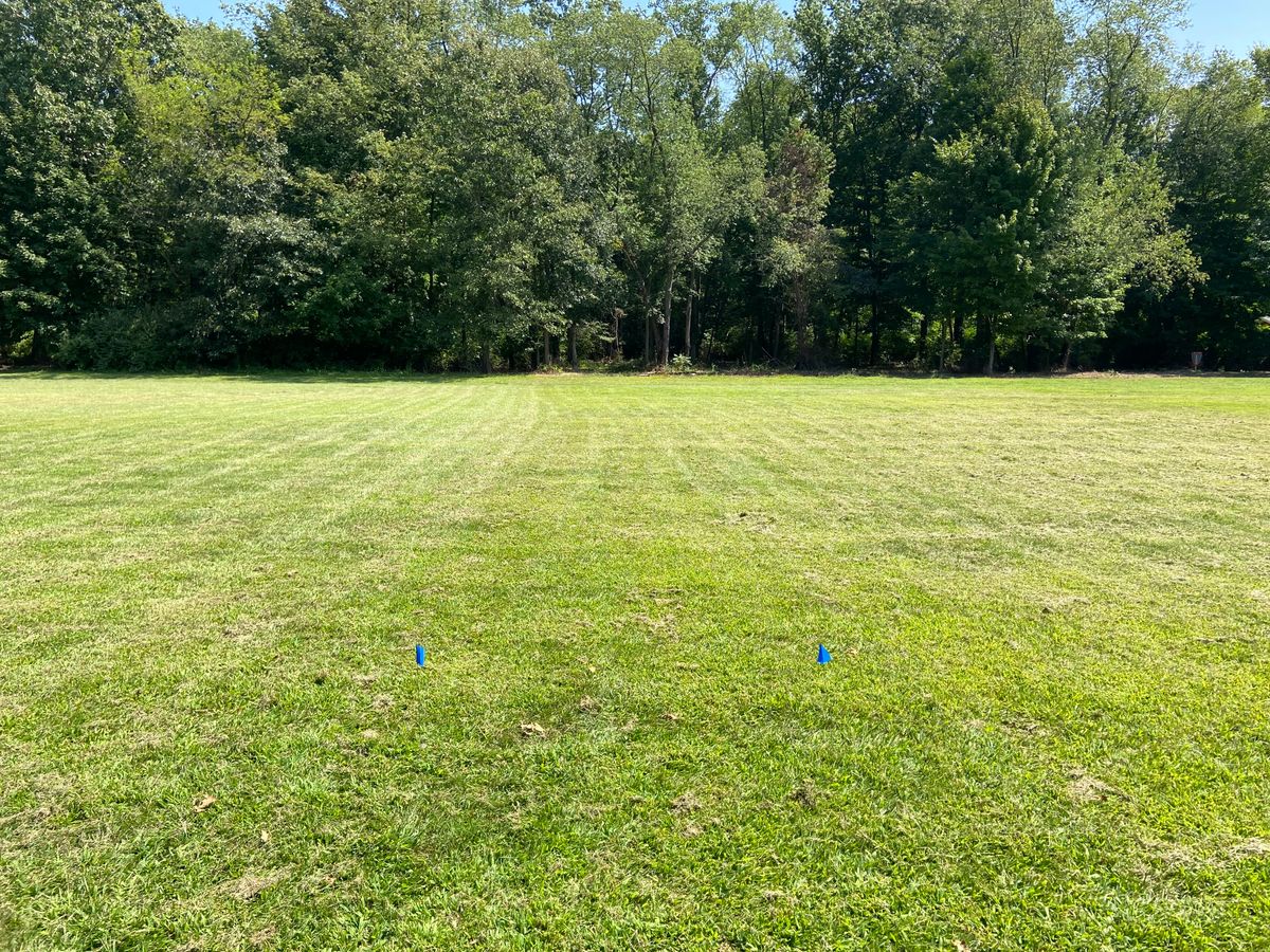 Hole 3 tee pad