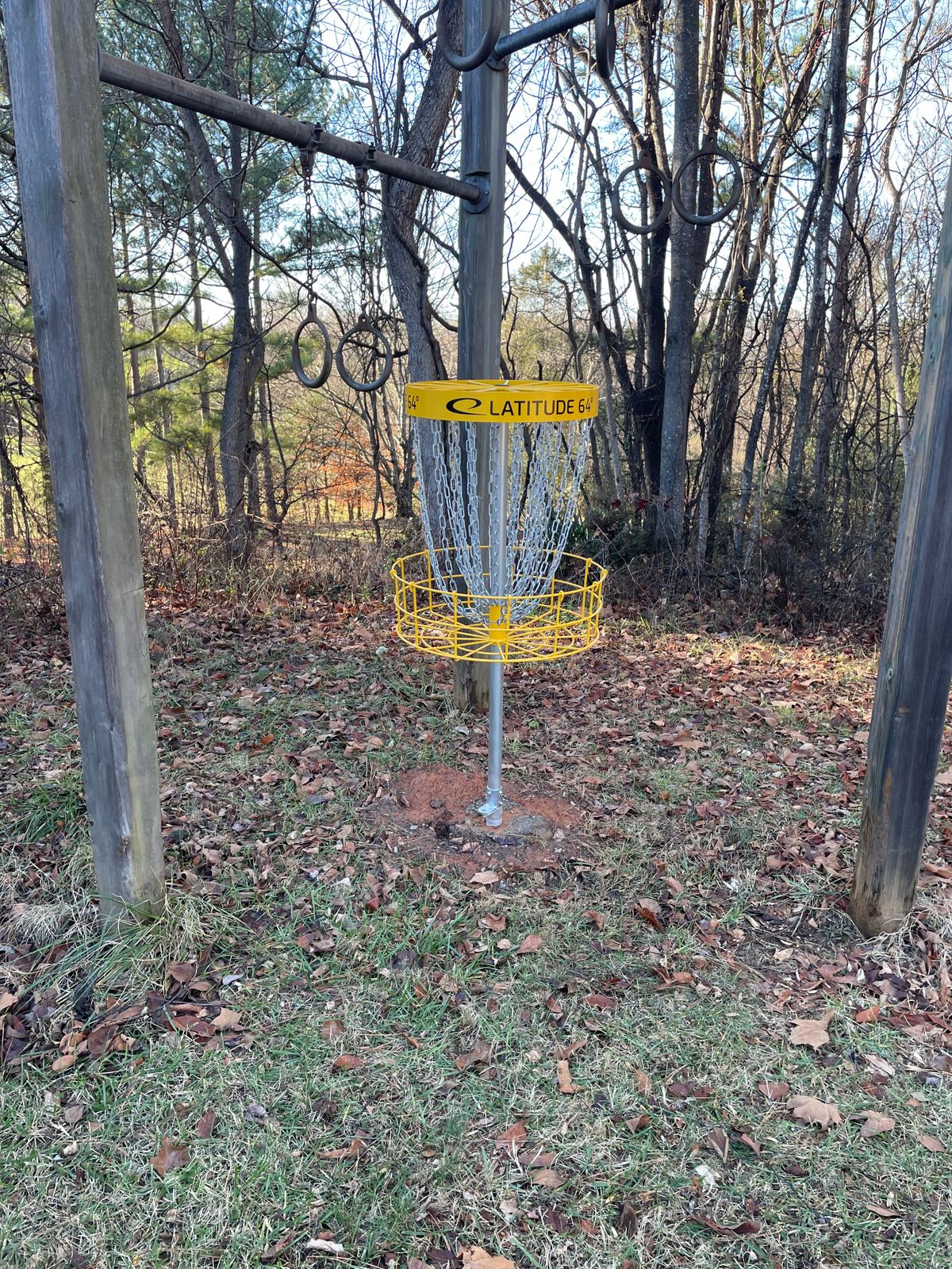 Hole 6 basket