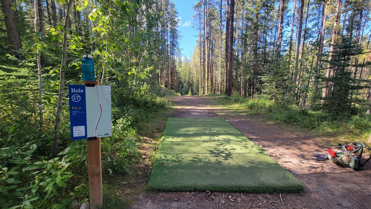 Hole 17 Tee and Fairway