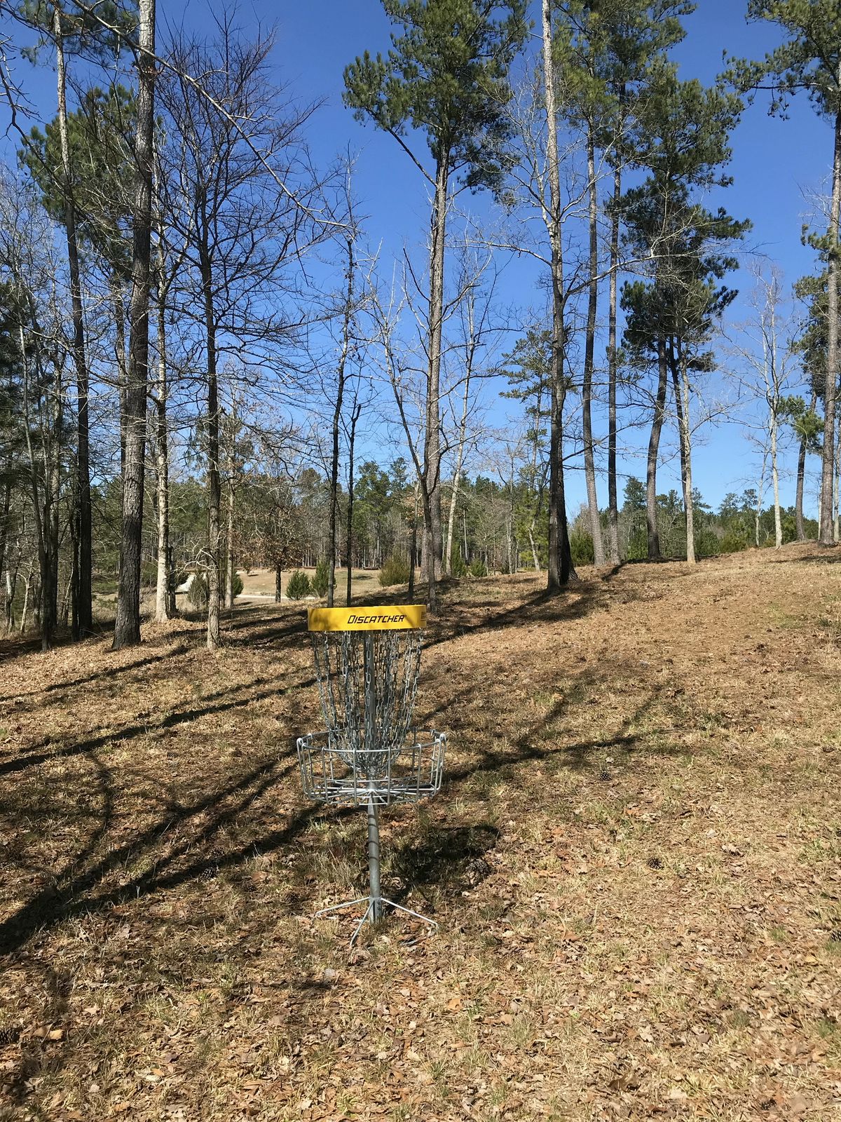 Hole 8 - basket to tee