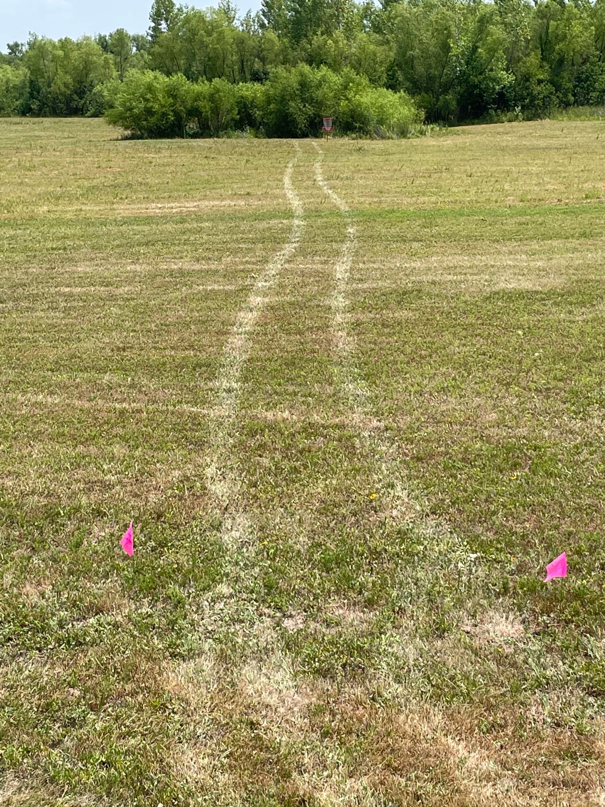 Hole 3 tree patch ob