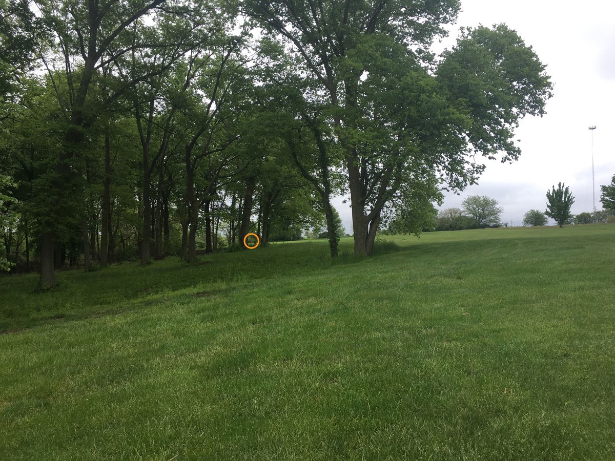 Hole 4 from the fairway