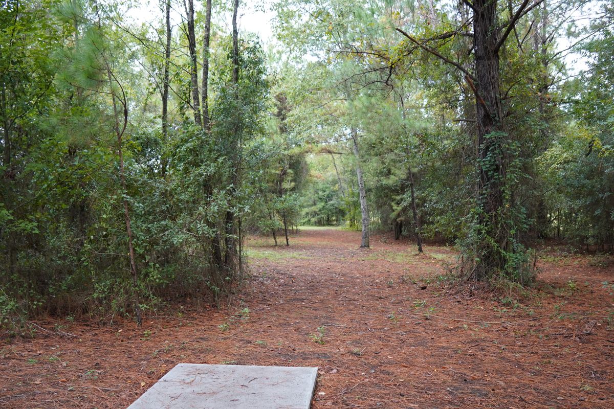 Hole 7 short tee