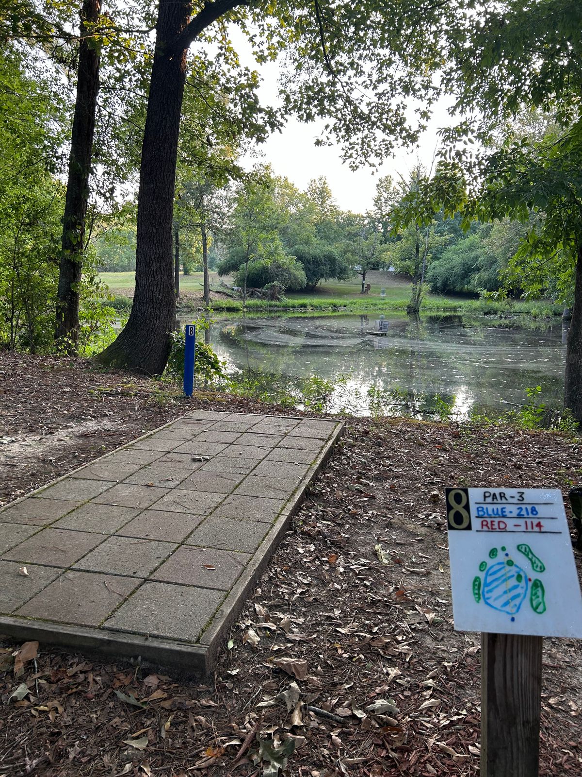 Hole 8
