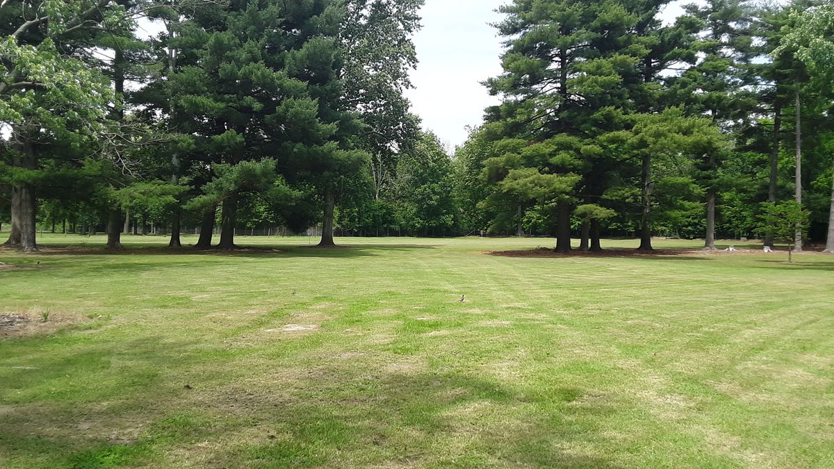 Hole 1 on the 1st day of disc golf at Miller Park in St. Bernice!