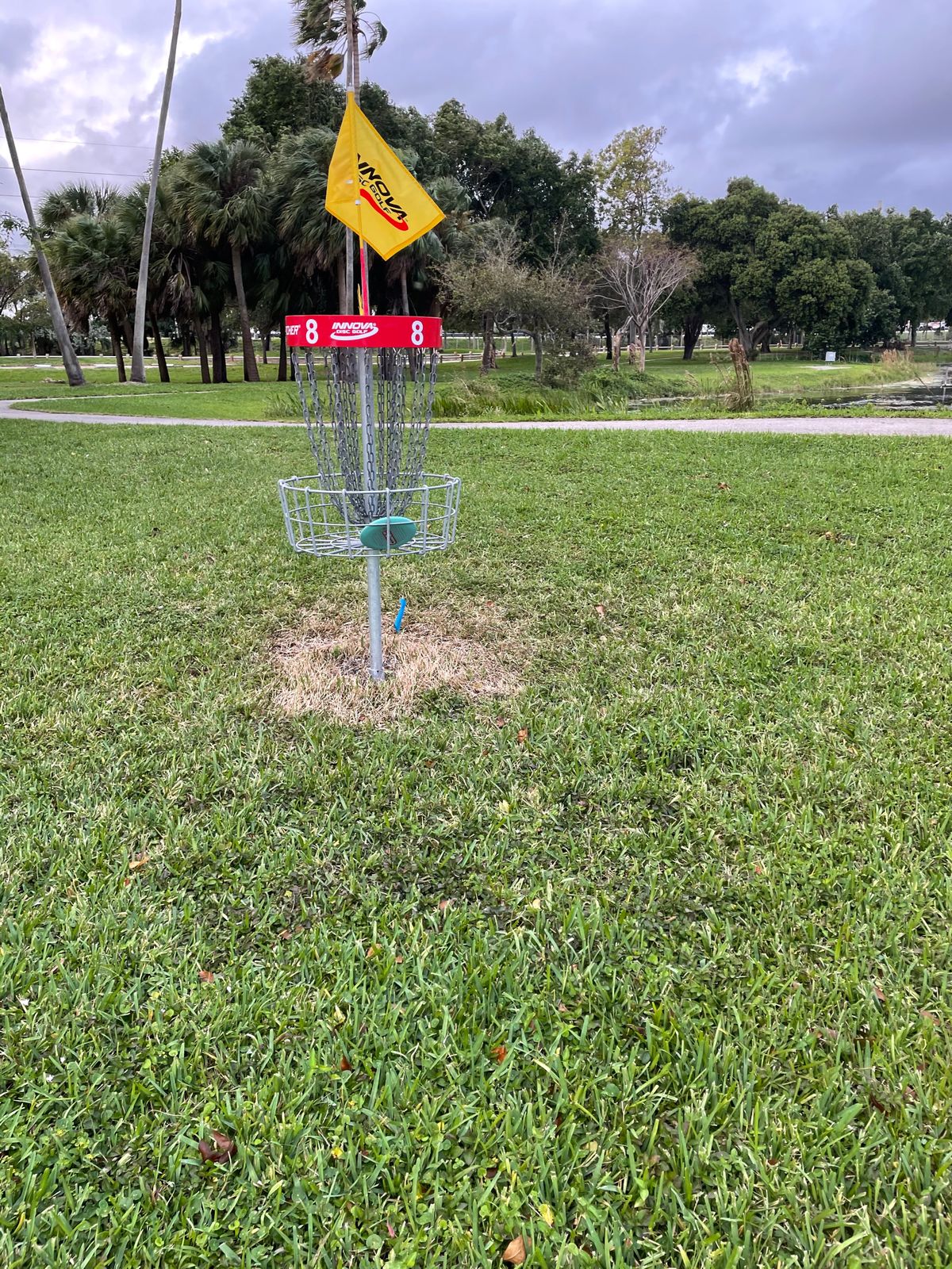 Hole 8 Basket