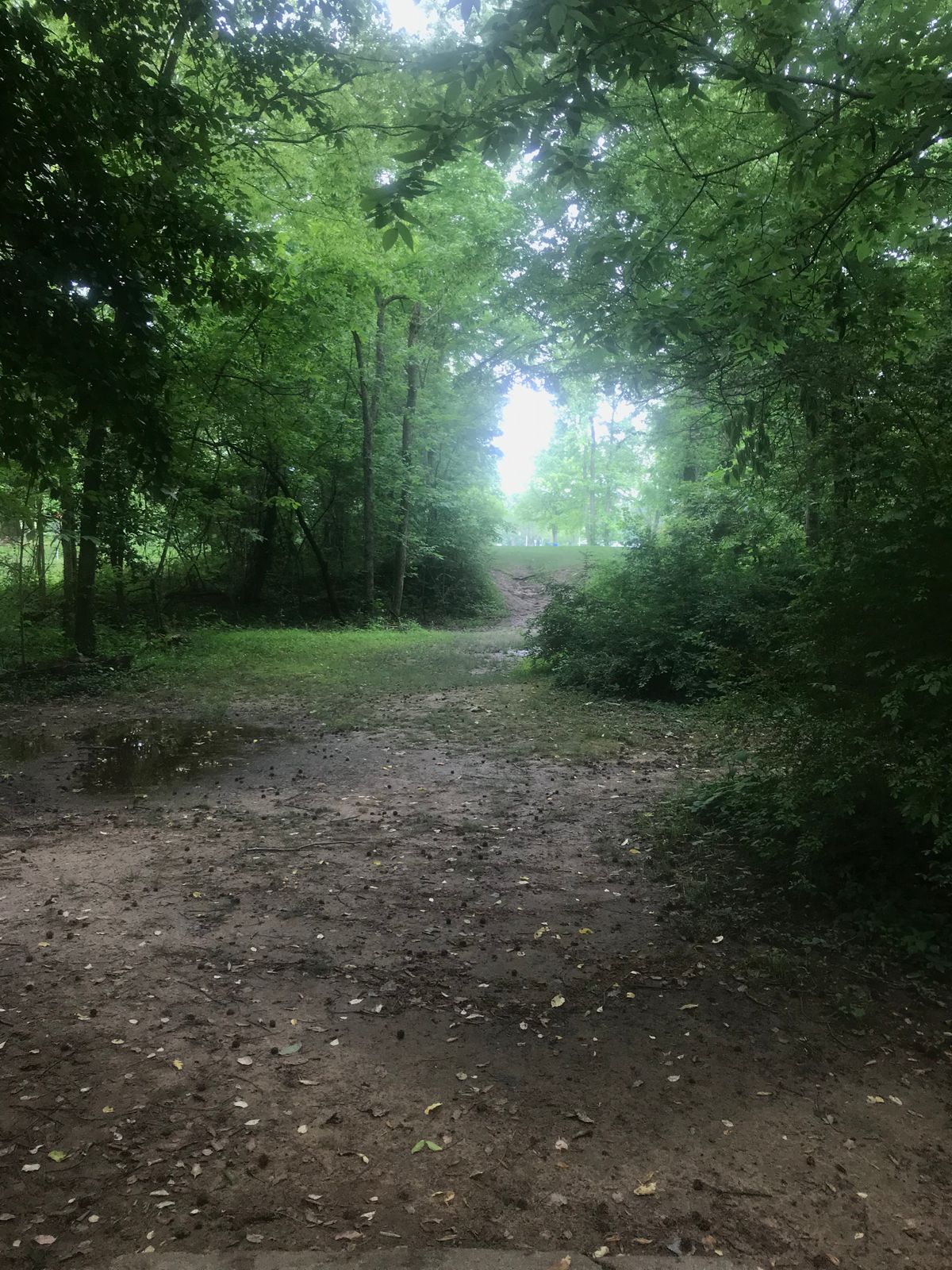 Hole 11