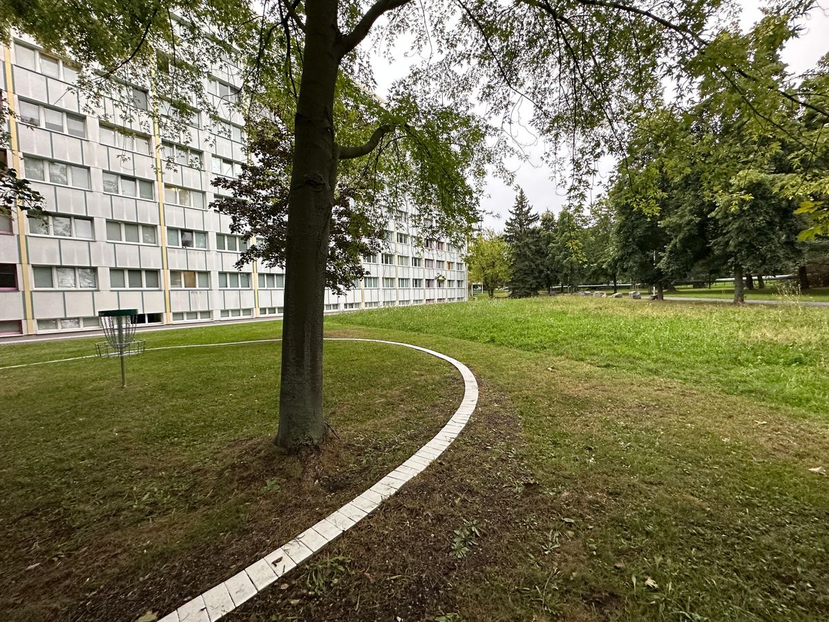Basket of hole 4 with island markings