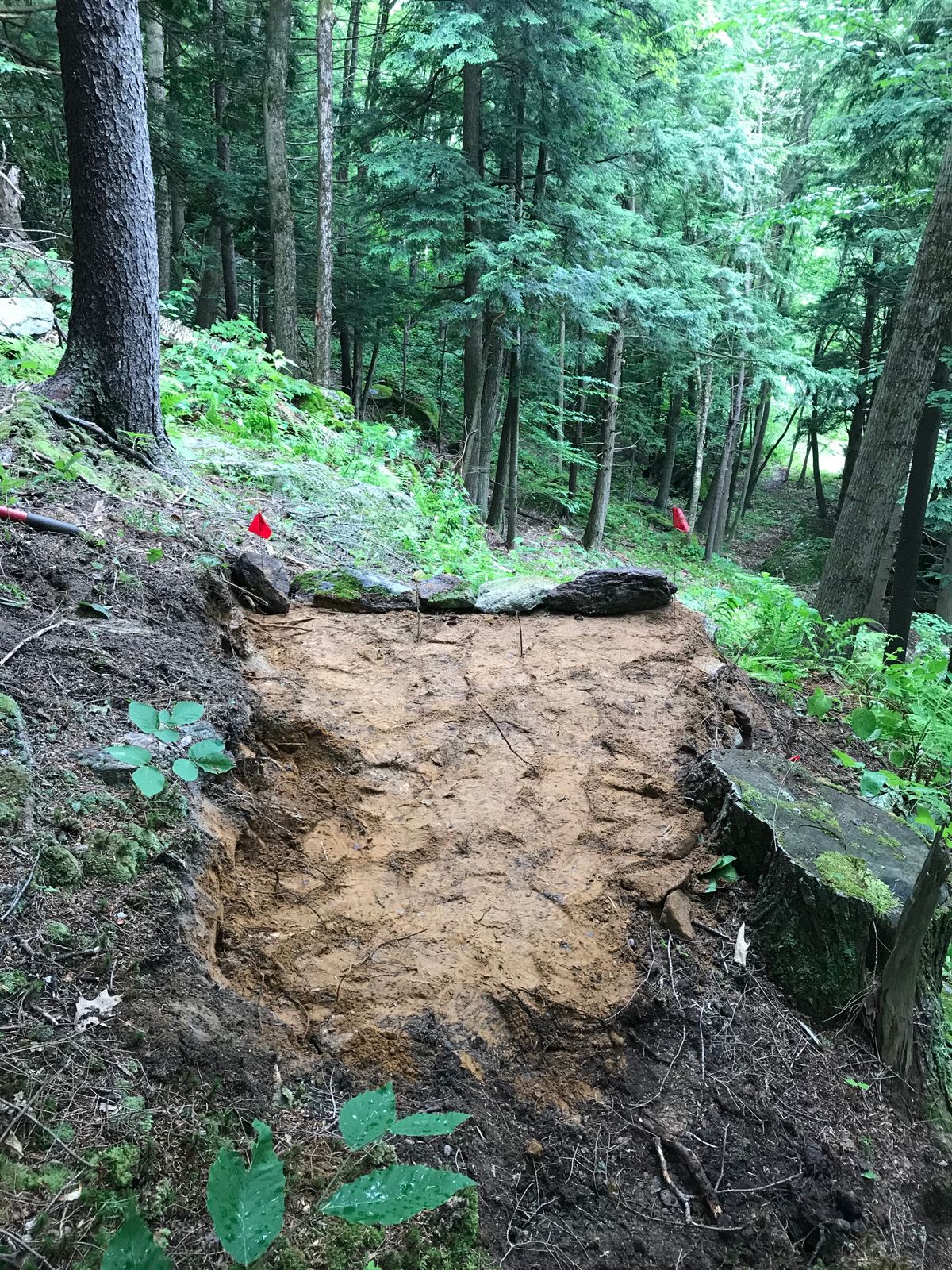 Hole 7 tee pad.