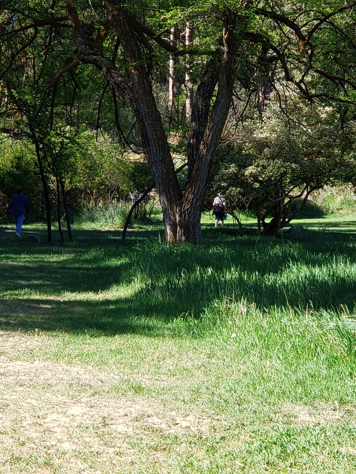 Hole 5