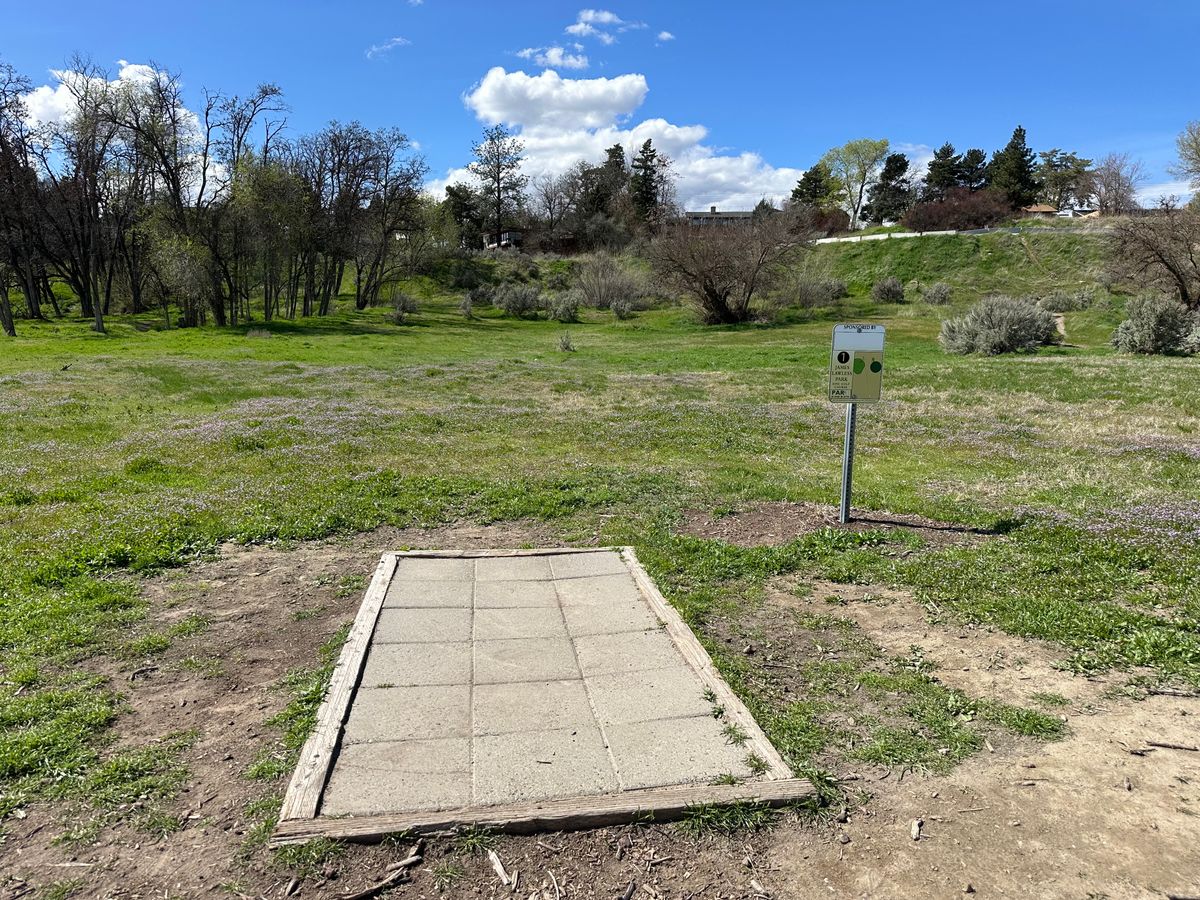 Hole 1 tee pad