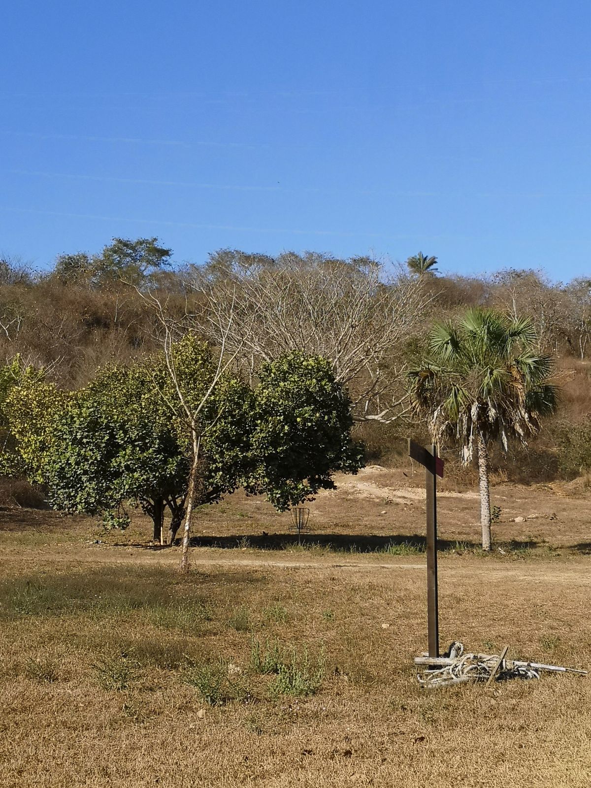 Hole 1 Basket