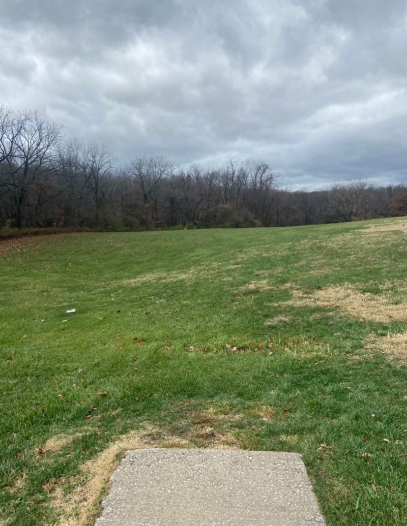 Longer shot with basket tucked in pocket to left close to thick woods making it rough