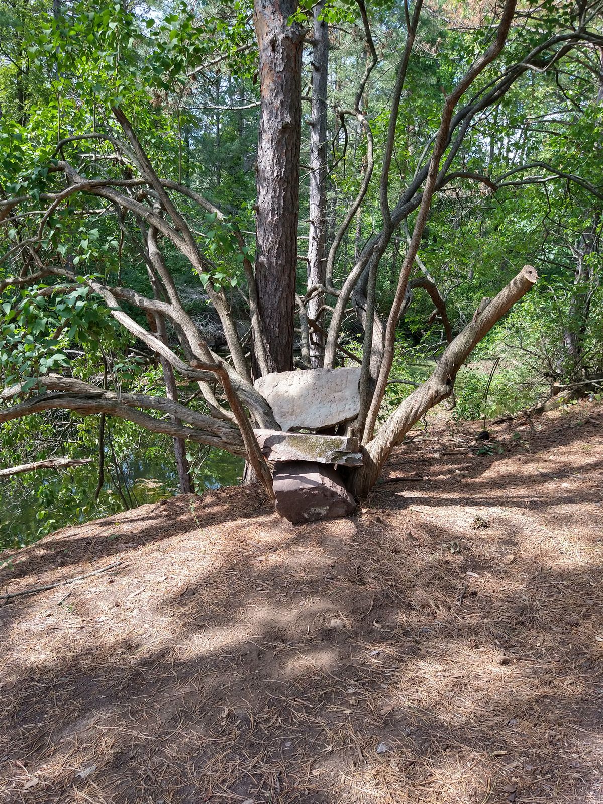 Throne behind hole 14