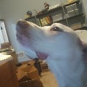 User avatar image
