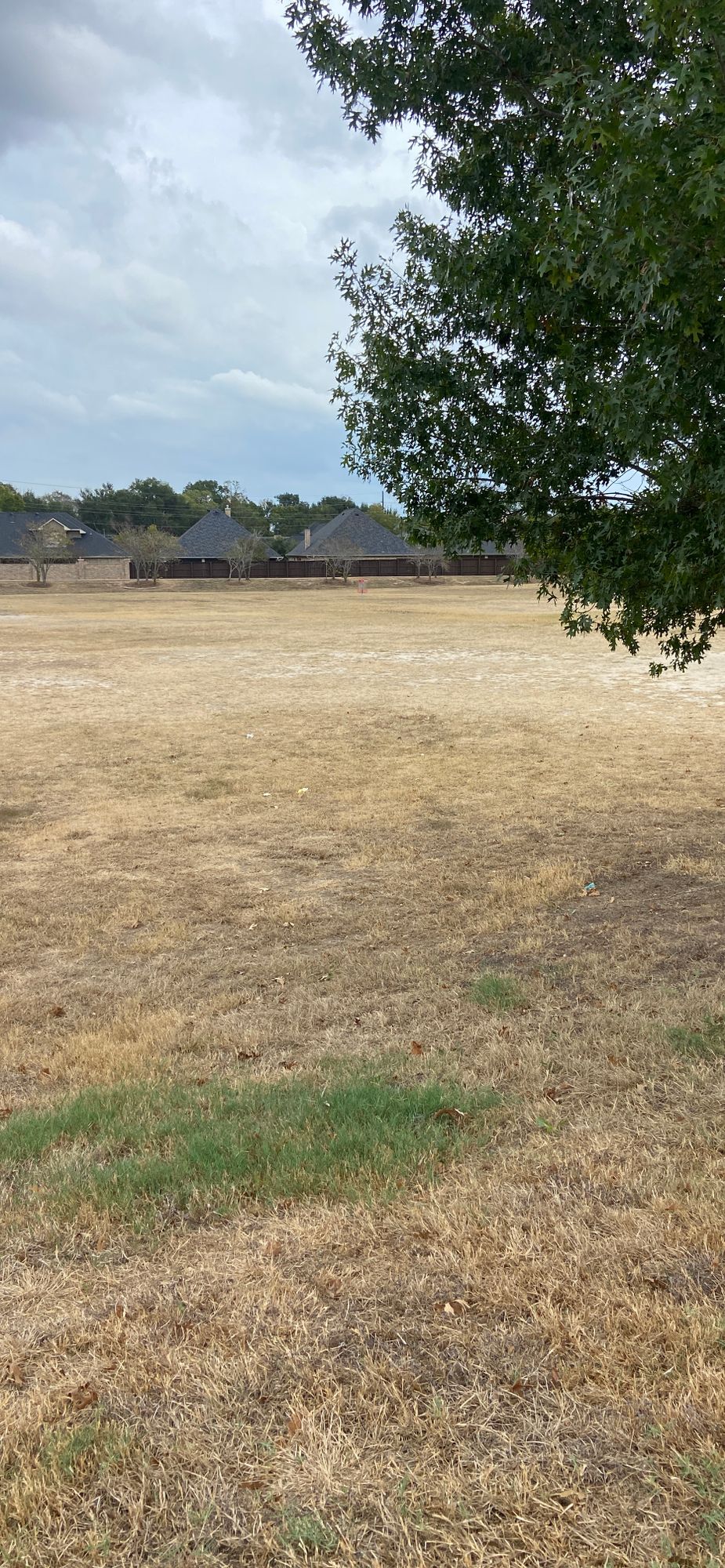 Hole 5 from tree (middle of hole).