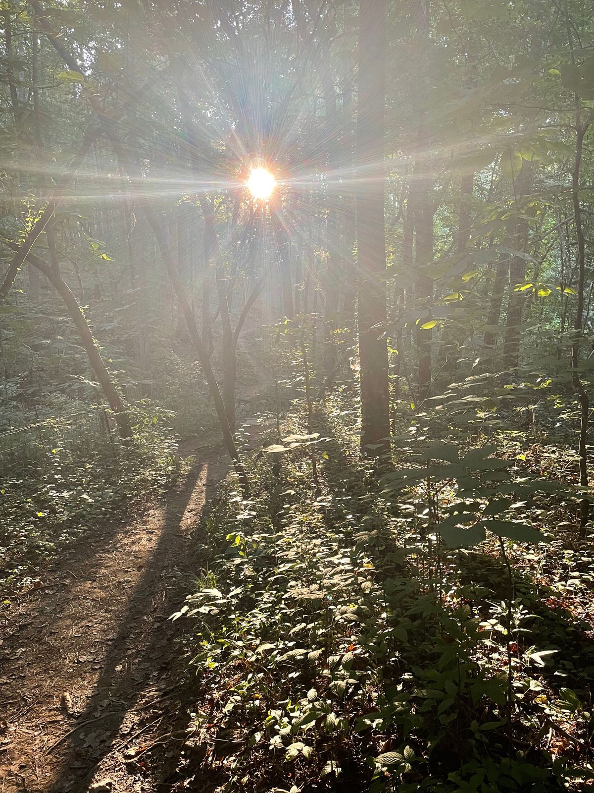 Blinding sunset on hole 2