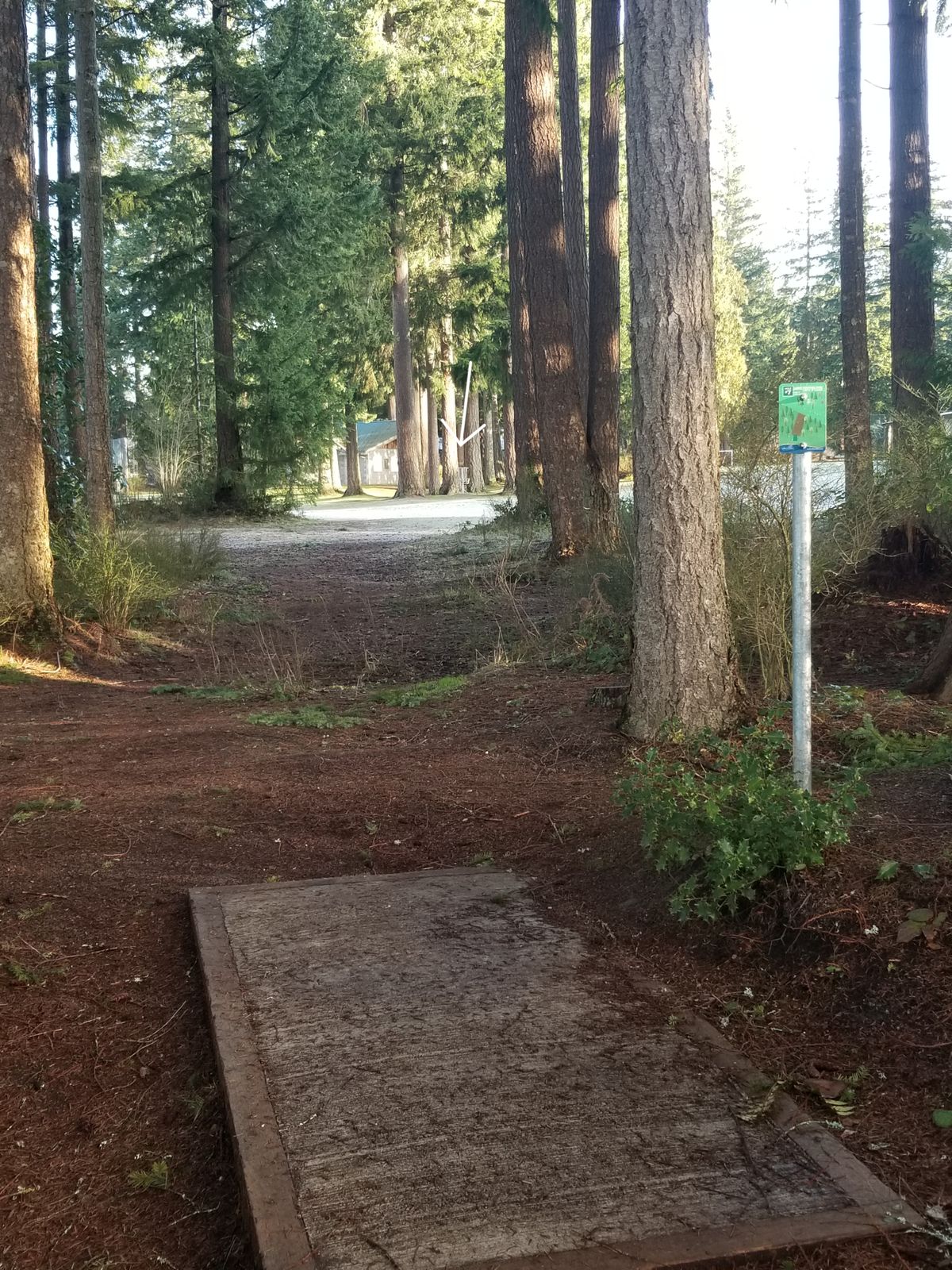 Hole 7