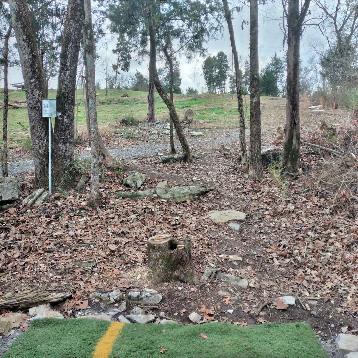 Hole 14 from tee box