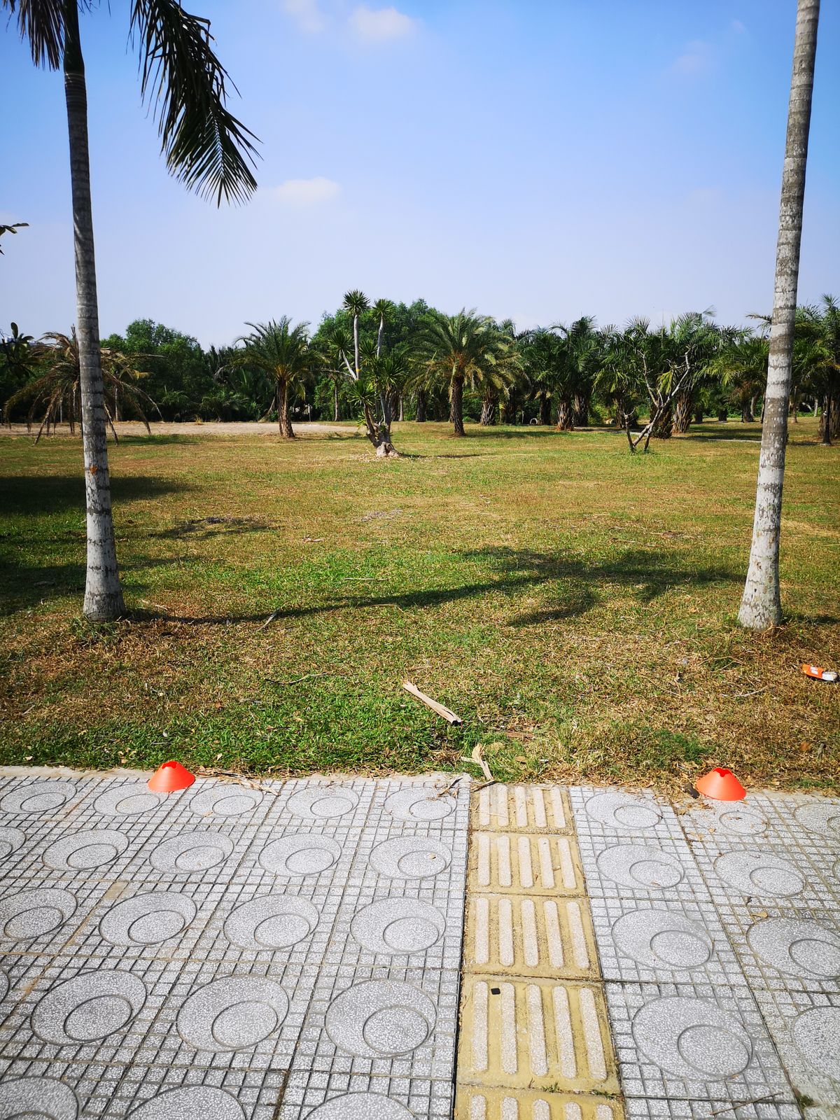 Hole 11. Alternate tee pad from hole 1. Mando makes you throw a forehand or anhyzer to target 1. I'd say 60% over hazard zone. Lay up? Naah