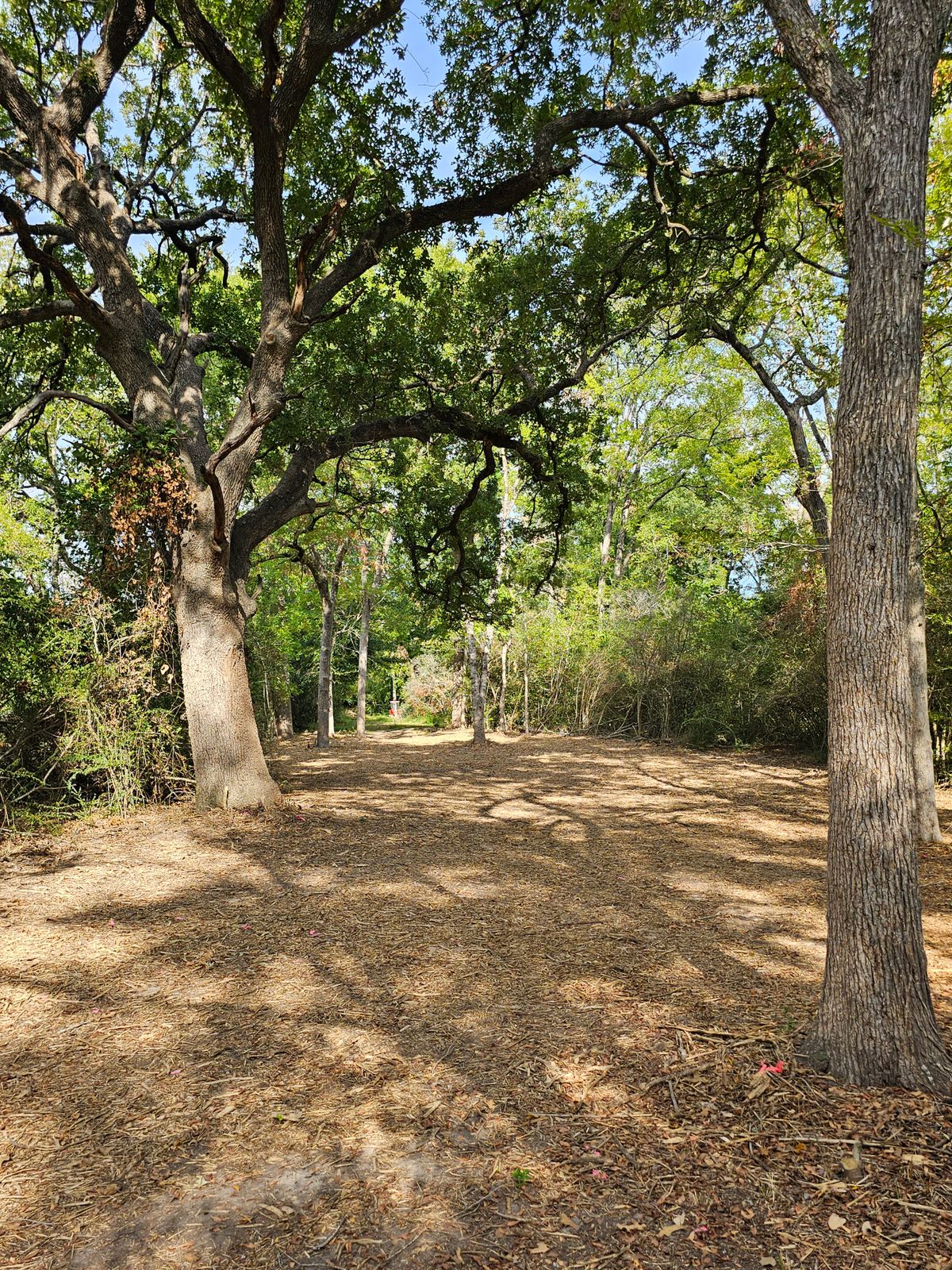 Hole 15 Approach