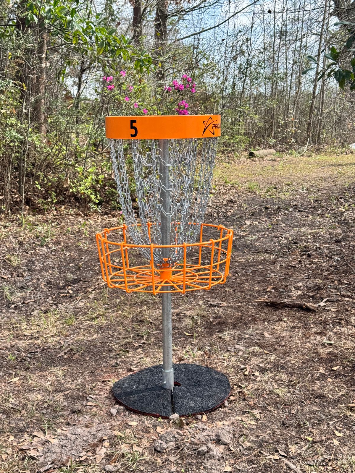 Hole 5 basket