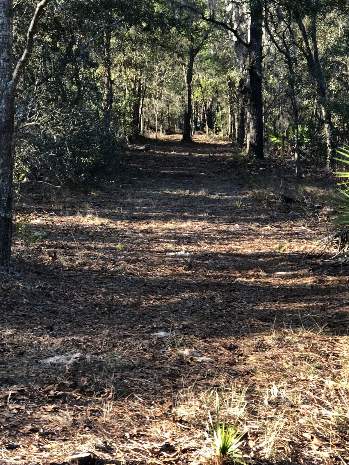 Hole#8. 178’
