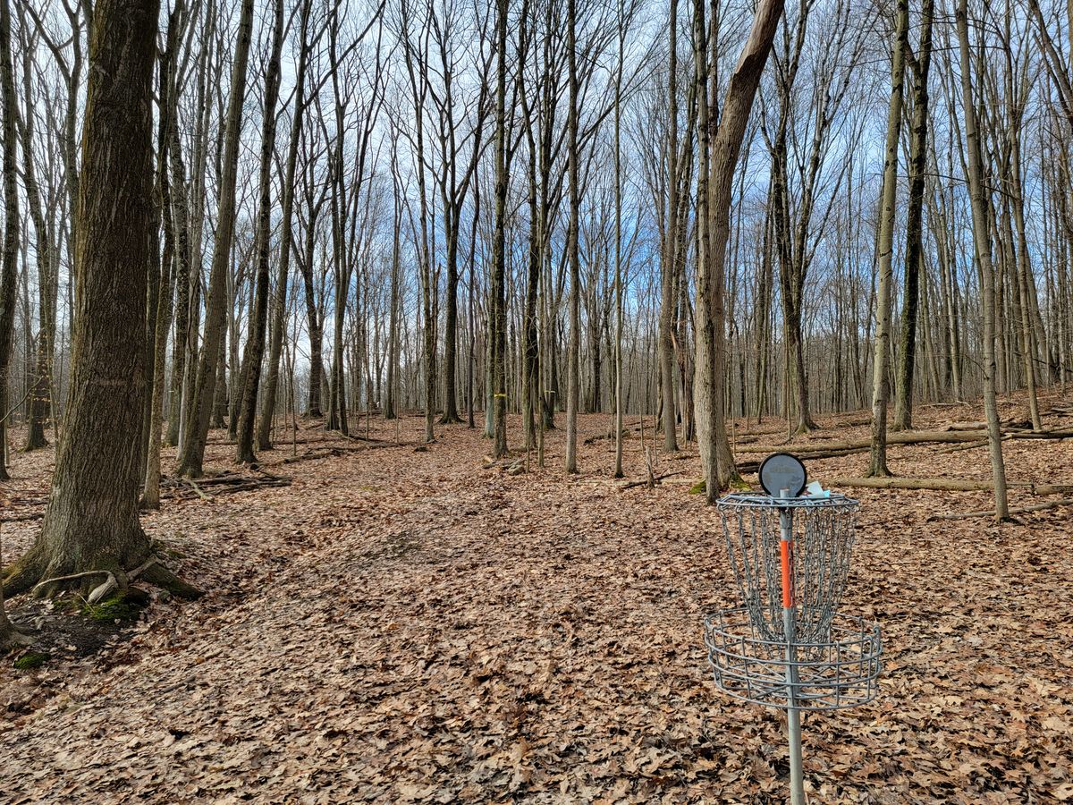 4's green looking back up the fairway
